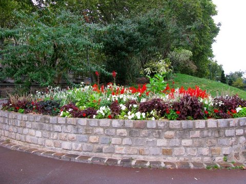 Red salvias, white petunias and dark coleus crowd a raised bed behind a curved rough-stone wall, with trees and a grassy slope beyond.