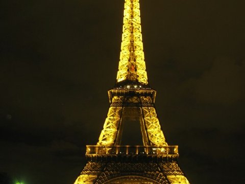 The Eiffel Tower illuminated in gold against a dark sky, seen across the lawns of the Champ de Mars with lamps glowing along the edges.