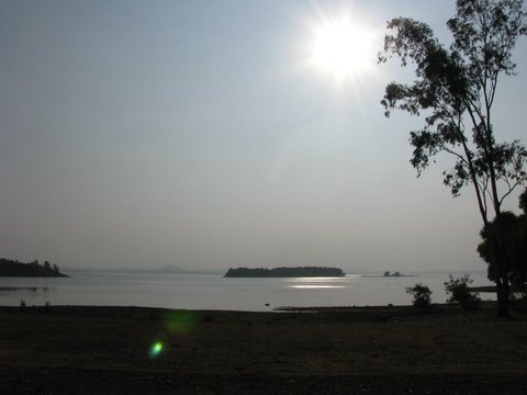 A bright sun high in a hazy sky above a calm reservoir, a tall tree at the right edge and a wooded island on the horizon.