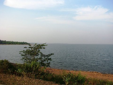 Green shrubs and small white flowers on a red earth bank above a wide stretch of rippled water, with a wooded shore to the left.