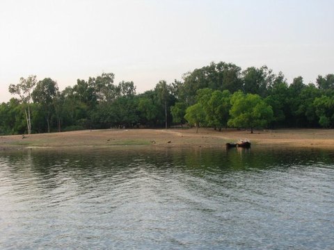 Two small wooden boats rest at the edge of a sandy clearing below a dense line of green trees, grey water filling the foreground.