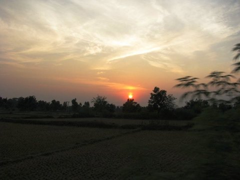 A red sun sinks behind a line of trees beyond stubbled fields, with blurred leaves in the foreground and thin cloud lit from below.